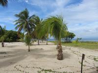 Ausflug zur Insel Cayo Blaco