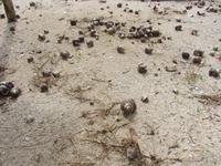 Ausflug zur Insel Cayo Blaco