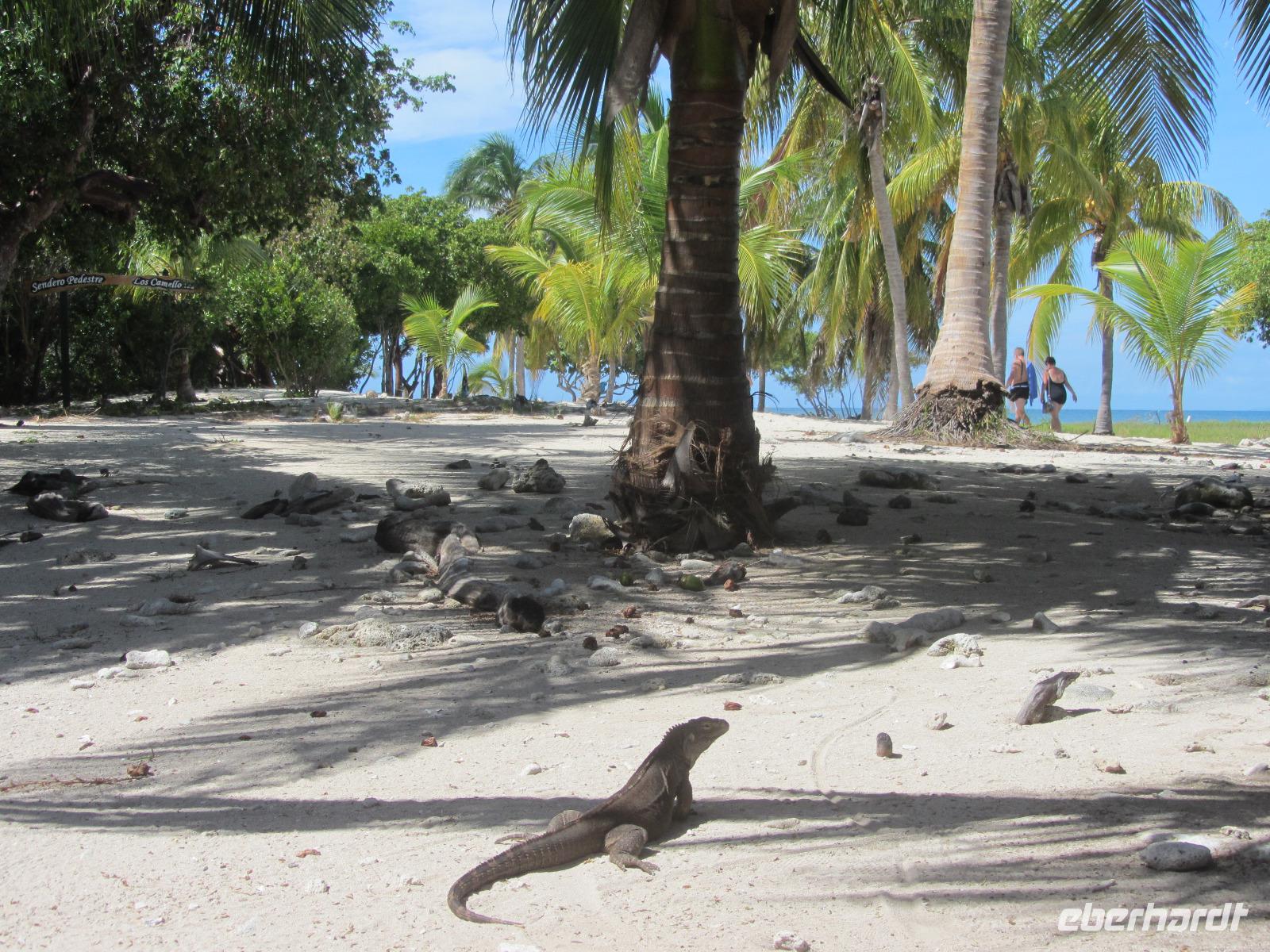 Ausflug zur Insel Cayo Blaco