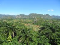 Vinales-Tal