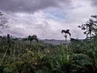 auf dem Weg nach Baracoa