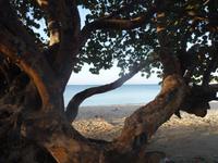  bleibende Impressionen