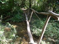 Brueckchen einmal anders