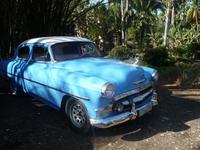 Auto im Botanischen Garten 