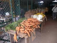 ueberdachte Markthalle