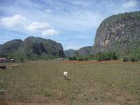 bizarre Kalksteinberge 