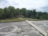 Terassen um Kaffeebohnen zu trocknen