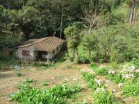 Sierra del Escambray (3)