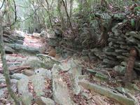 Sierra del Escambray (18)