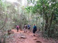 Sierra del Escambray (21)