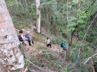 Sierra del Escambray (23)
