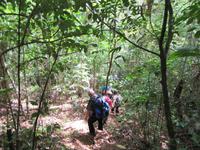 Sierra del Escambray (26)