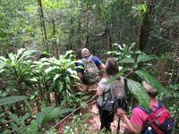 Sierra del Escambray (27)