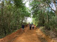 Sierra del Escambray (49)