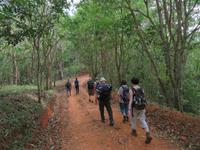 Sierra del Escambray (50)