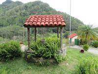 Sierra del Escambray (56)