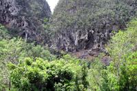 Imposante Kalksteinverwitterung