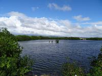 In der Bucht von Ancon