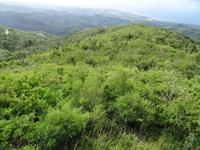 Die Hügel der Escambray