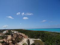 Karg ist die Inselvegetation