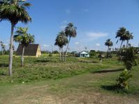 Tabaktrockenschuppen