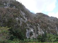 Mogotes in Vinales