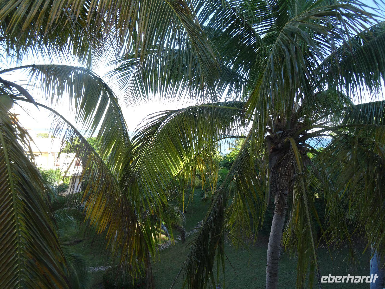 Der erste Tag in Kuba - Guardalavaca