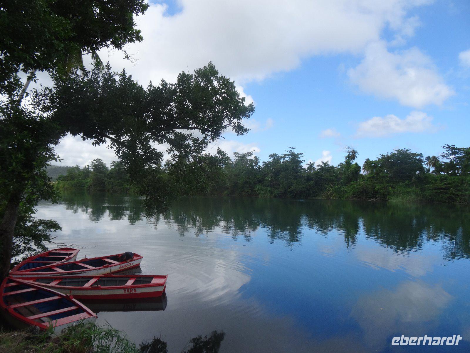 Flussfahrt auf dem Rio Toa