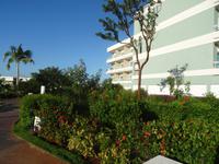 Hübsche Grünanlagen im Hotel