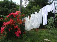Große Wäsche auf dem Lande