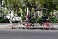 Es geht auch gemütlich mit 1 PS