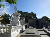 Kolumbus-Friedhof Havanna (3)