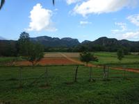 Tabakplantage Viñales (1)