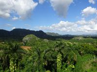 Viñales (4)