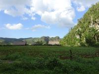 Viñales (9)