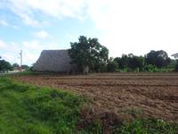Viñales (19)