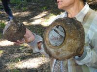 Botanischer Garten Cienfuegos (22)