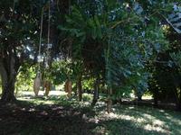 Botanischer Garten Cienfuegos (23)