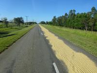 Radtour Schweinebucht (1)