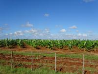 Radtour Schweinebucht (2)