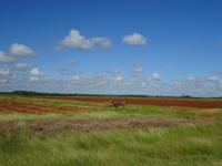 Radtour Schweinebucht (3)