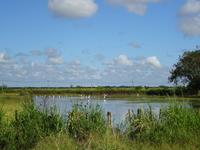 Radtour Schweinebucht (4)