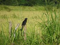 Radtour Schweinebucht (5)