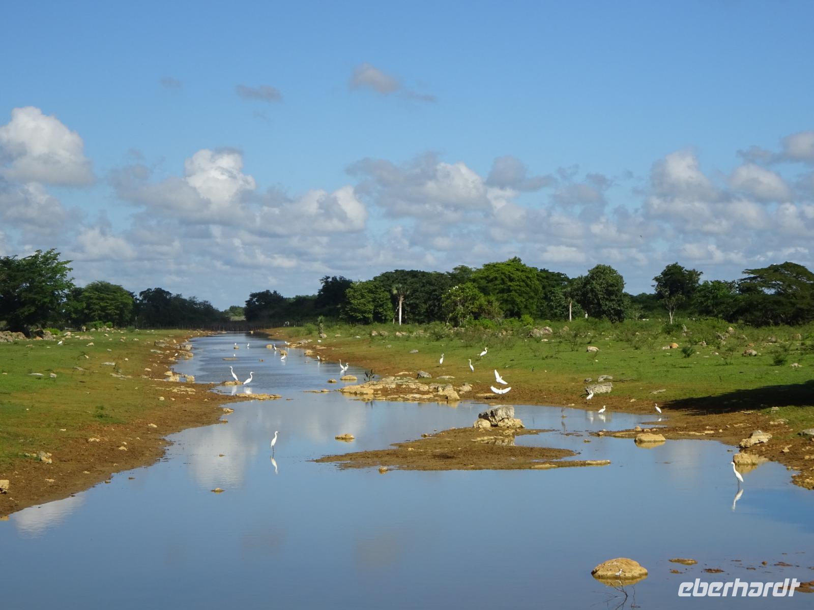 Radtour Schweinebucht (6)