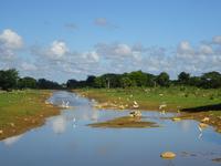 Radtour Schweinebucht (6)