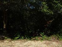 Radtour Schweinebucht (10)