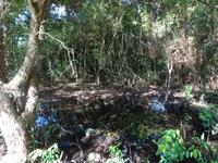 Radtour Schweinebucht (12)