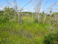 Radtour Schweinebucht (13)