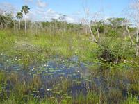 Radtour Schweinebucht (14)