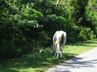 Radtour Schweinebucht (15)